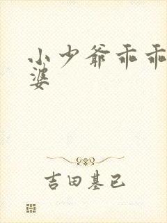 小少爷乖乖当老婆