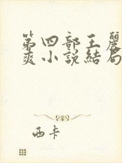 第四部王丽娟张爽小说结局