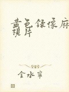 黄色录像麻豆影视片