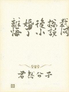 离婚后总裁他后悔了小说网