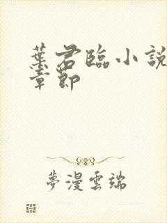 叶君临小说最新章节