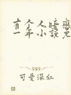 有个人暗恋我十一年小说免费阅读