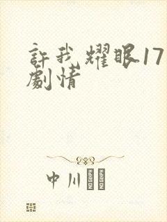 许我耀眼17集剧情