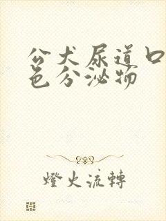 公犬尿道口黄绿色分泌物