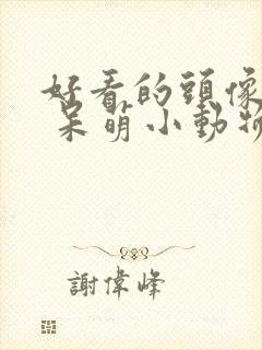 好看的头像可爱 呆萌小动物