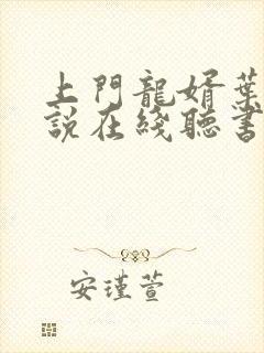 上门龙婿叶辰小说在线听书