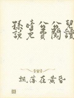 孙晴公公儿媳小说免费阅读