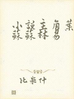 小说主角叶枫白苏苏林易