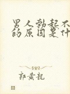 男人勃起不够硬的原因是什么