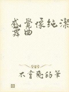 感觉像纯洁的轮舞曲封面