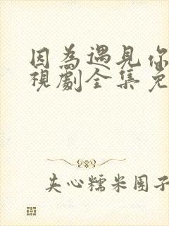 因为遇见你2电视剧全集免费观看