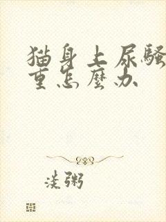 猫身上尿骚味很重怎么办