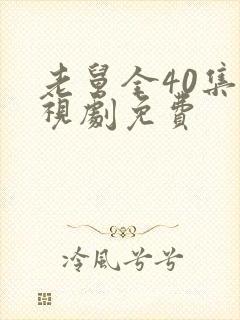 老舅全40集电视剧免费