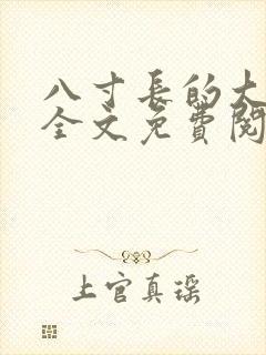 八寸长的大宝贝全文免费阅读封面