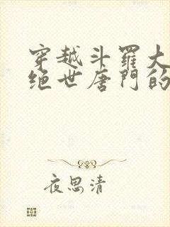 穿越斗罗大陆2绝世唐门的小说