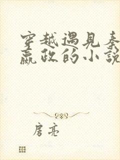 穿越遇见秦始皇嬴政的小说