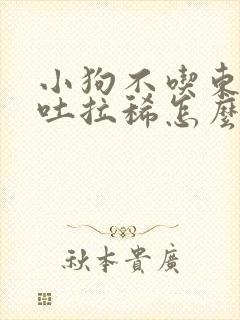 小狗不吃东西呕吐拉稀怎么办