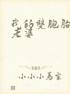 我的双胞胎美女老婆