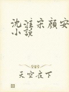 沈淮宋颜安欢的小说