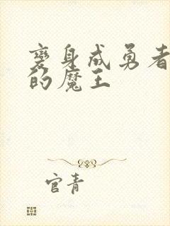 变身成勇者妻子的魔王