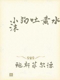 小狗吐黄水带泡沫