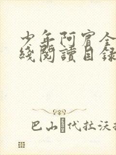 少年阿宾全文在线阅读目录