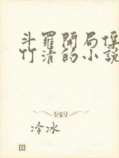 斗罗开局俘获朱竹清的小说