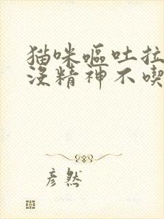 猫咪呕吐拉肚子没精神不吃东西怎么办封面