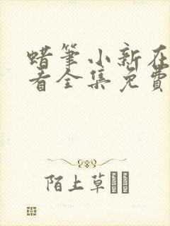 蜡笔小新在线观看全集免费第七季封面