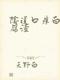 阴道口痒白带豆腐渣