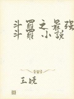 斗罗之最强本体斗罗 小说