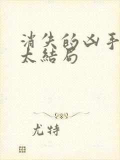 消失的凶手许太太结局封面