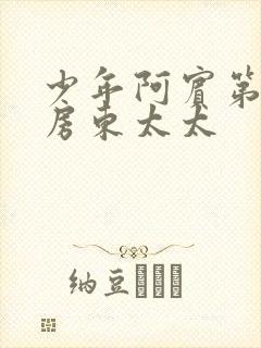 少年阿宾第一章房东太太封面