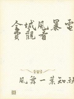 全城风暴电影免费观看