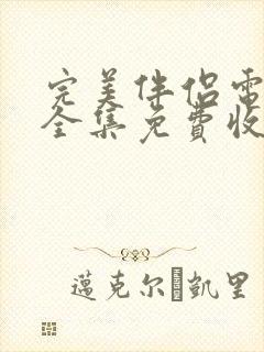 完美伴侣电视剧全集免费收看