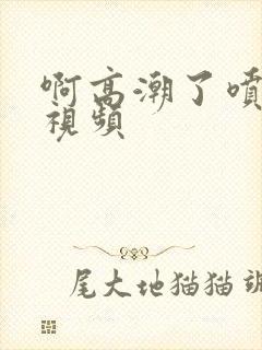 啊高潮了喷水了视频