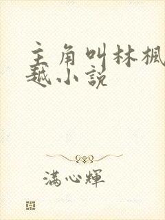 主角叫林枫的穿越小说