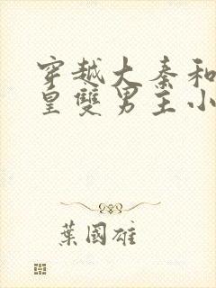 穿越大秦和秦始皇双男主小说