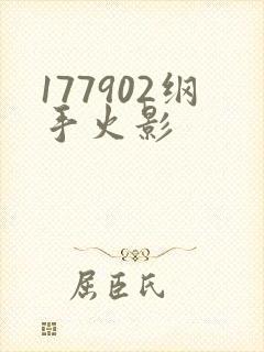 177902纲手火影