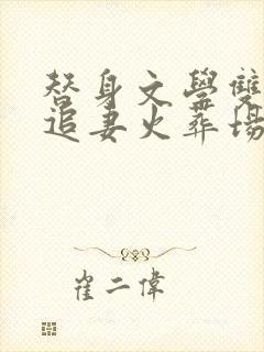 替身文学双男主追妻火葬场推荐封面