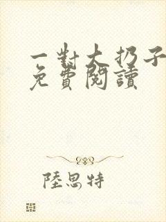 一对大扔子小说免费阅读封面