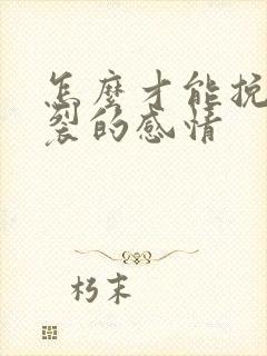 怎么才能挽回破裂的感情封面