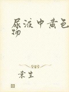 尿液中黄色沉淀物封面