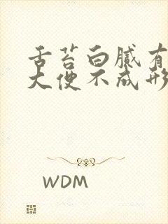 舌苔白腻有齿痕大便不成形