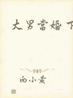 大男当婚 下载