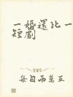 一婚还比一婚高短剧
