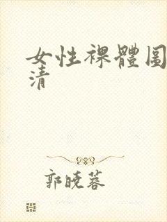 女性裸体图片高清