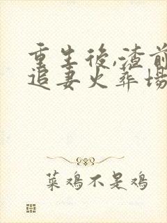 重生后,渣前夫追妻火葬场