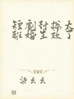 短剧封总太太的离婚生效了完整版在线观看