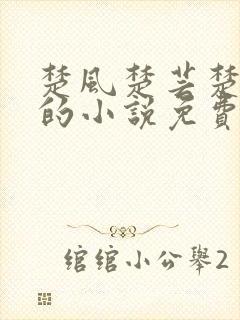 楚风楚芸楚鸿飞的小说免费阅读